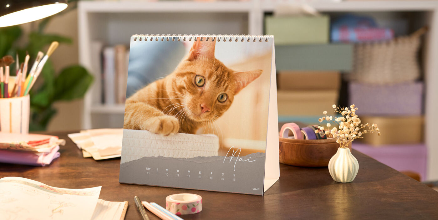 CEWE-Fotokalender auf Schreibtisch mit Foto einer orangefarbenen Katze, Monat Mai gut lesbar gestaltet