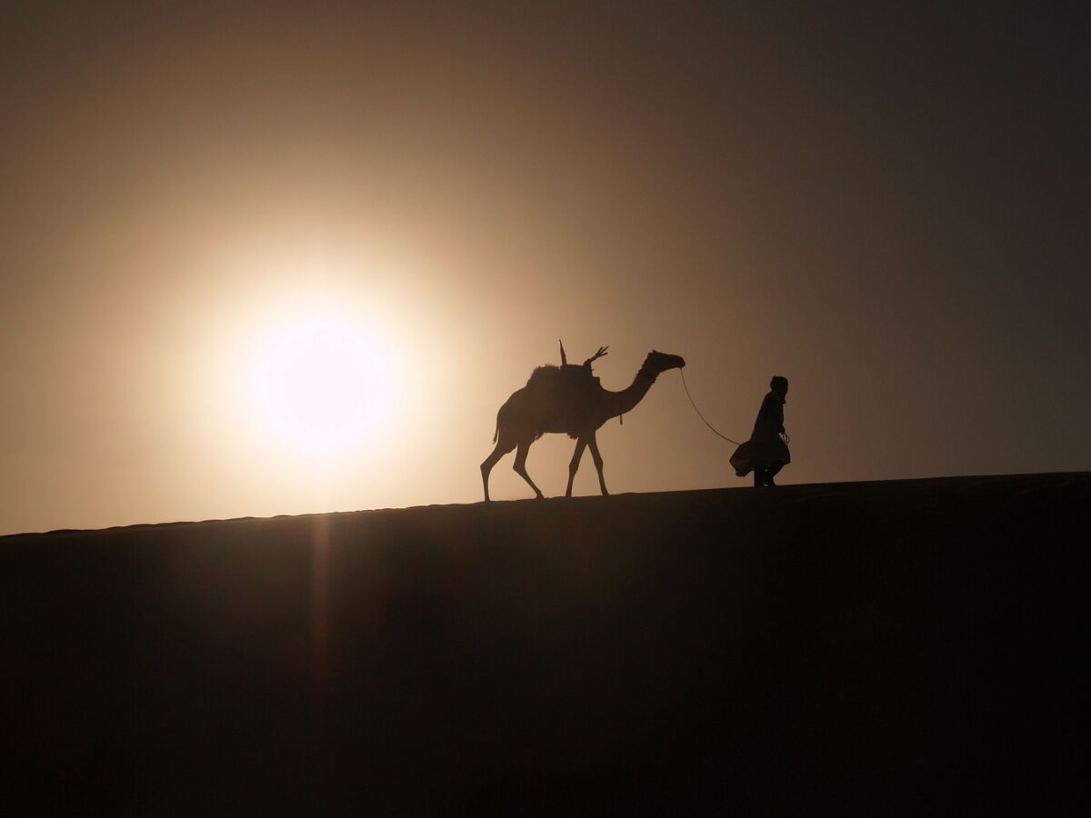Wüstenlandschaft mit einem Menschen, der ein Kamel führt. Das Bild ist gegen die Sonne fotografiert.