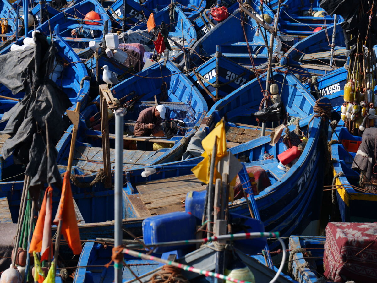 Bilder von farbigen offenen Fischbooten, die eng beieinander liegen.